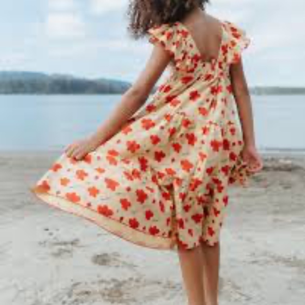 Fin & Vince Girls Dress Danelle Ruffle Sleeve Flowers size 10 11